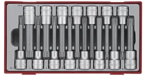 DOP BITSENSET RIBE EN SPLINE TT1 TRAY 1/2" 15 DELIG TENG TOOLS